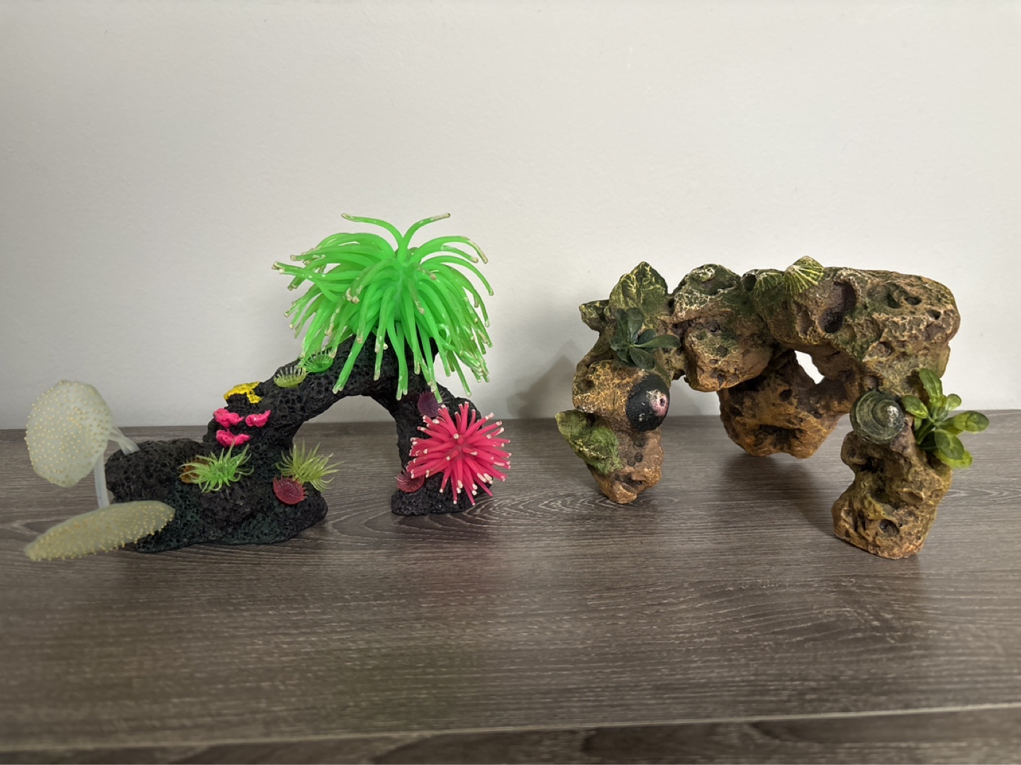 2 Fish Tanks + decor + fish maintenance - photo 3