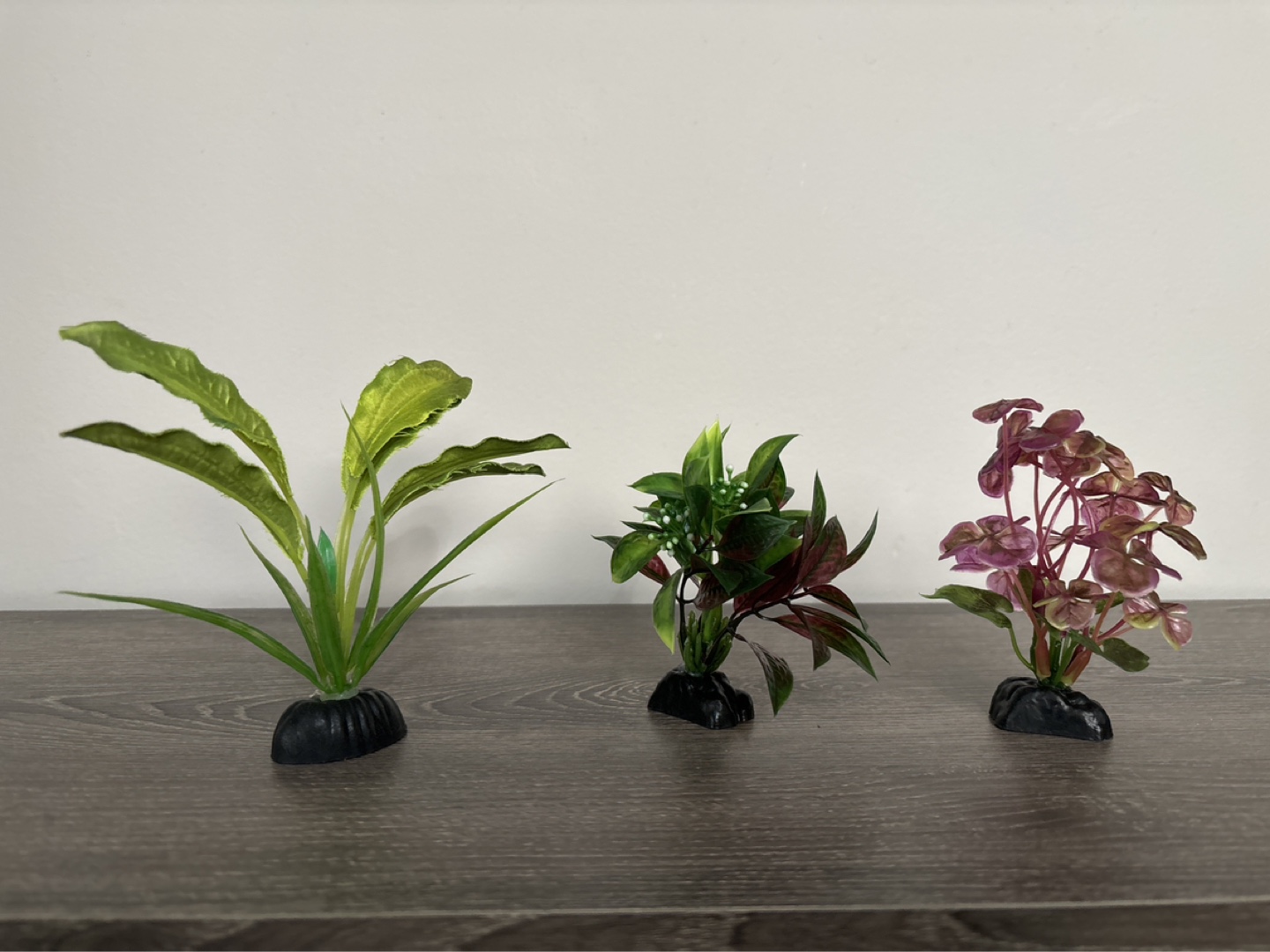 2 Fish Tanks + decor + fish maintenance - photo 4