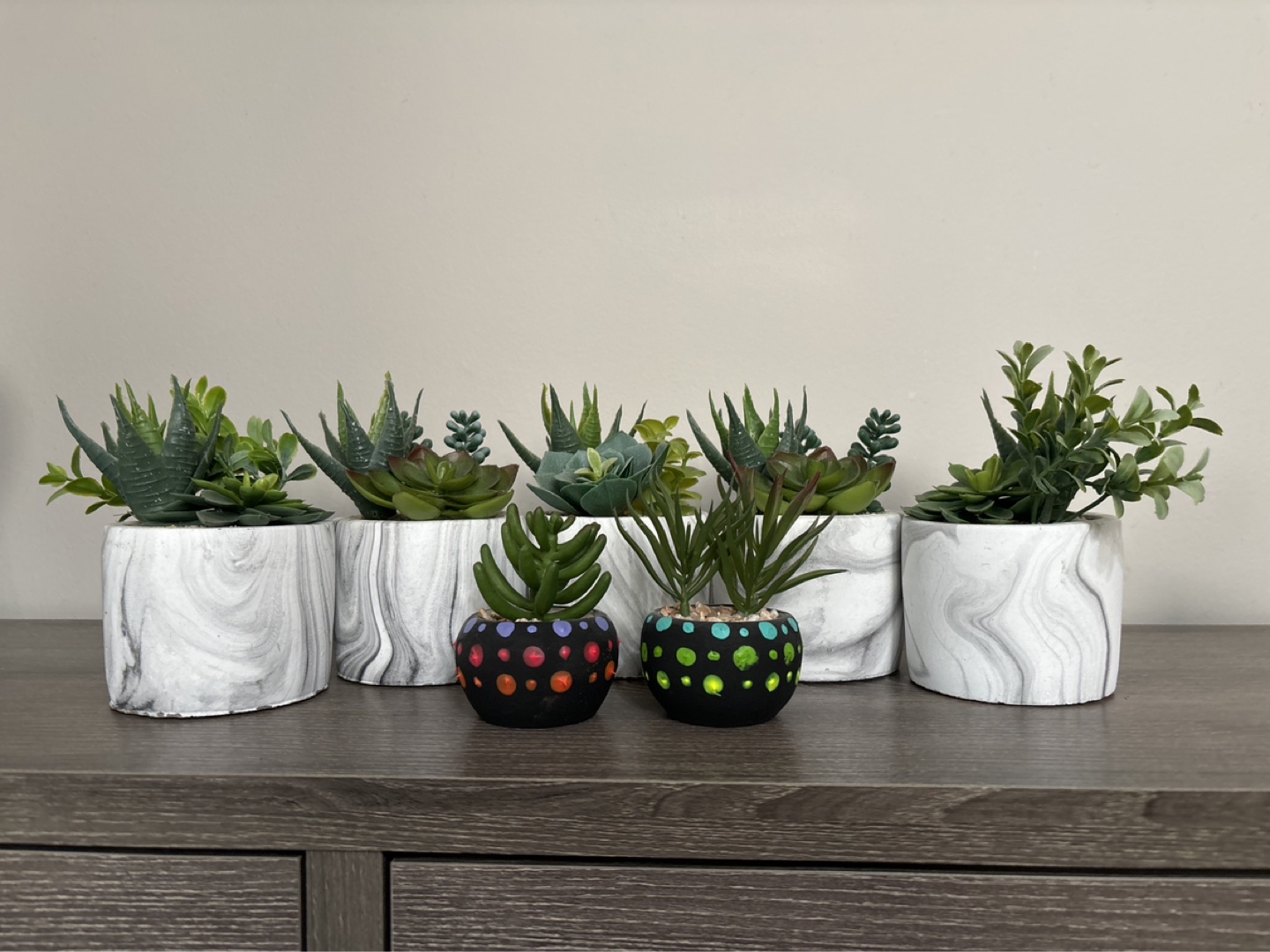 Weighted artificial succulents (set of 6)