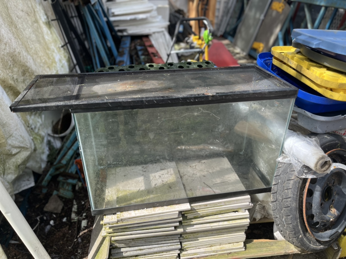 Used Fish Tank with Lid