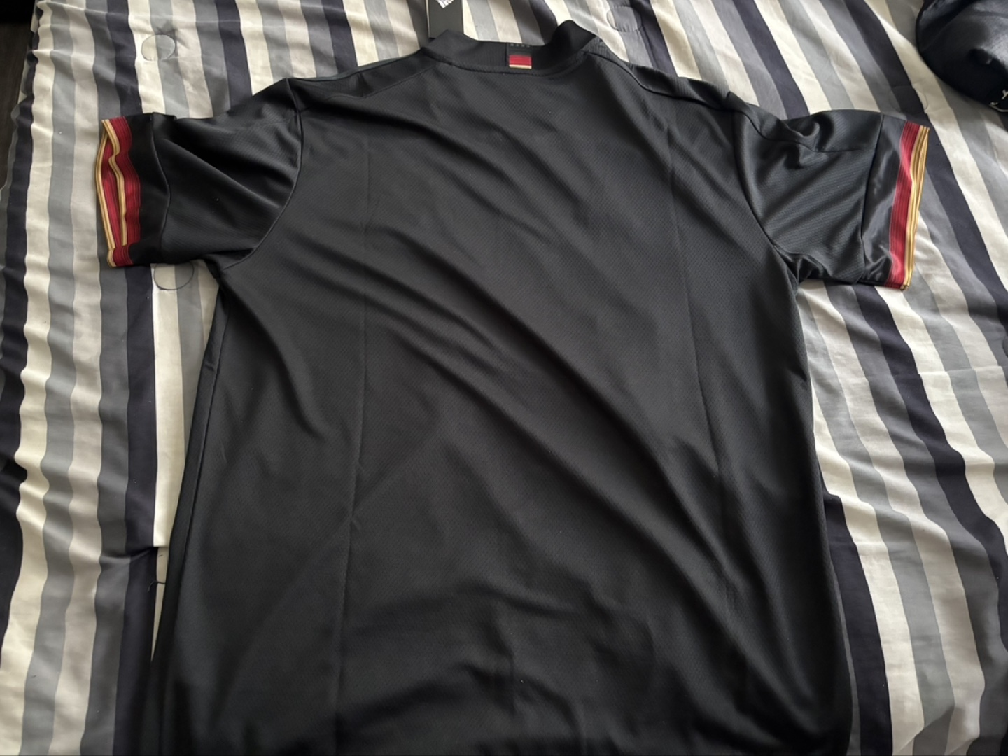 Euro 2020 Germany National Team Adidas Jersey - photo 2