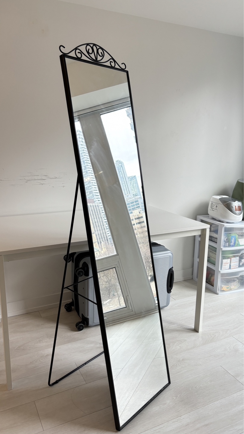 Moving Sale - Elegant Full Body Mirror