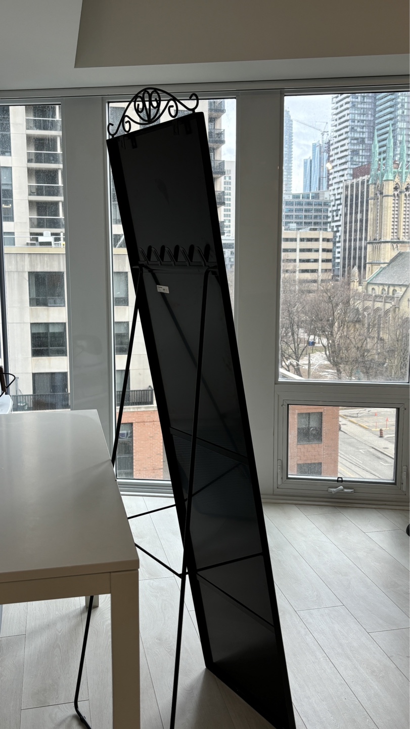 Moving Sale - Elegant Full Body Mirror - photo 2