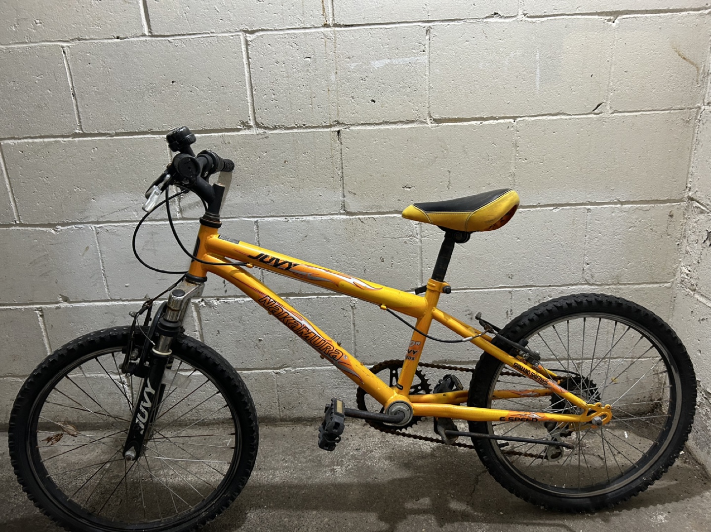 Nakamura Juvy 20-inch Kids Bike