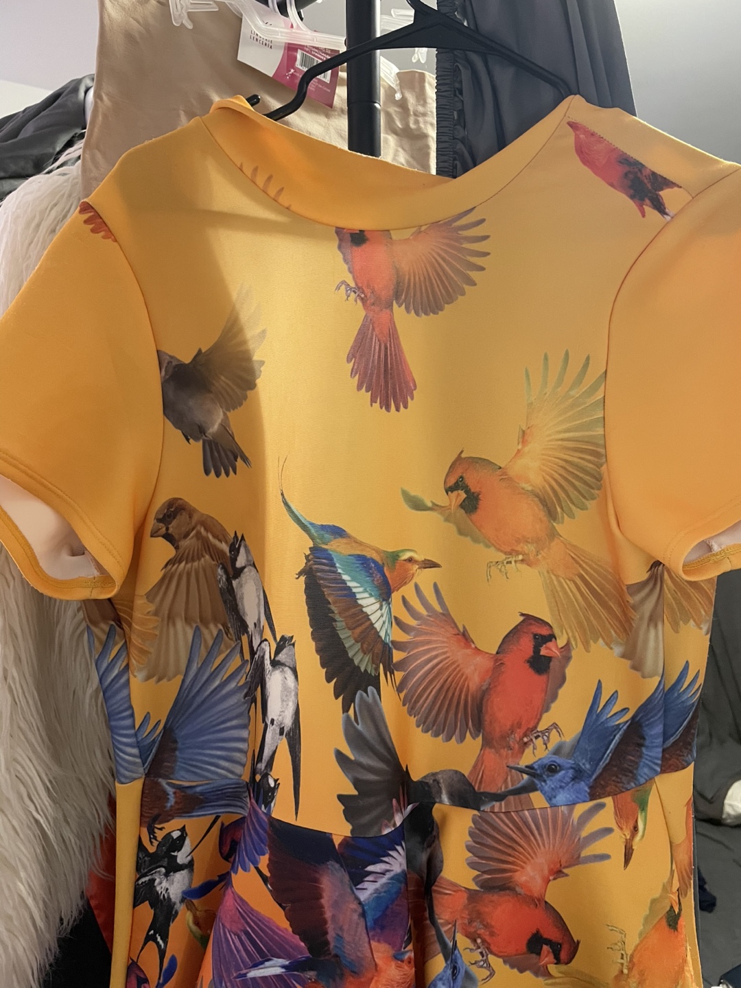 Gorgeous Bird Print Dress