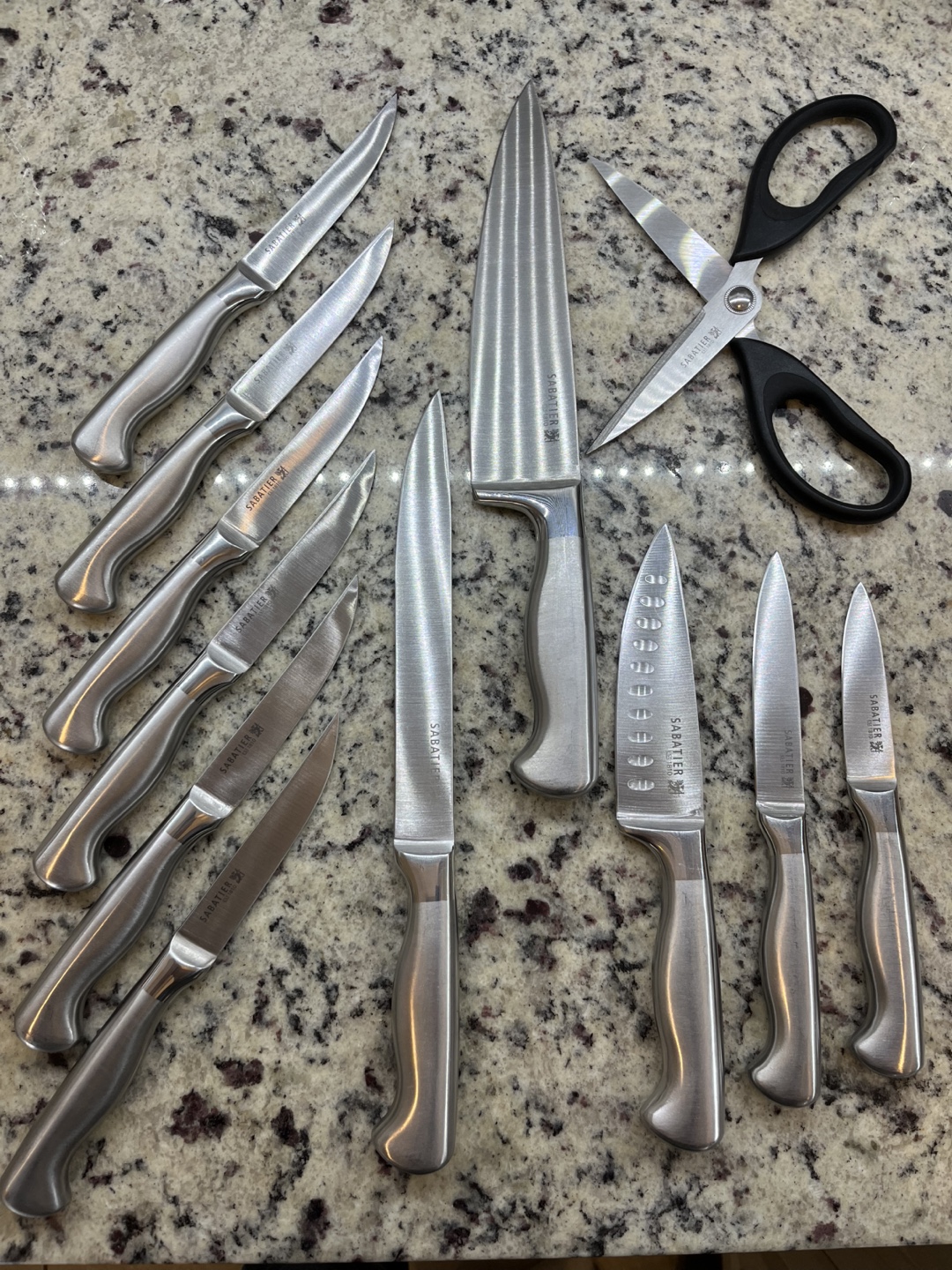 12 piece Sabatier Knife Set + knife block - photo 5