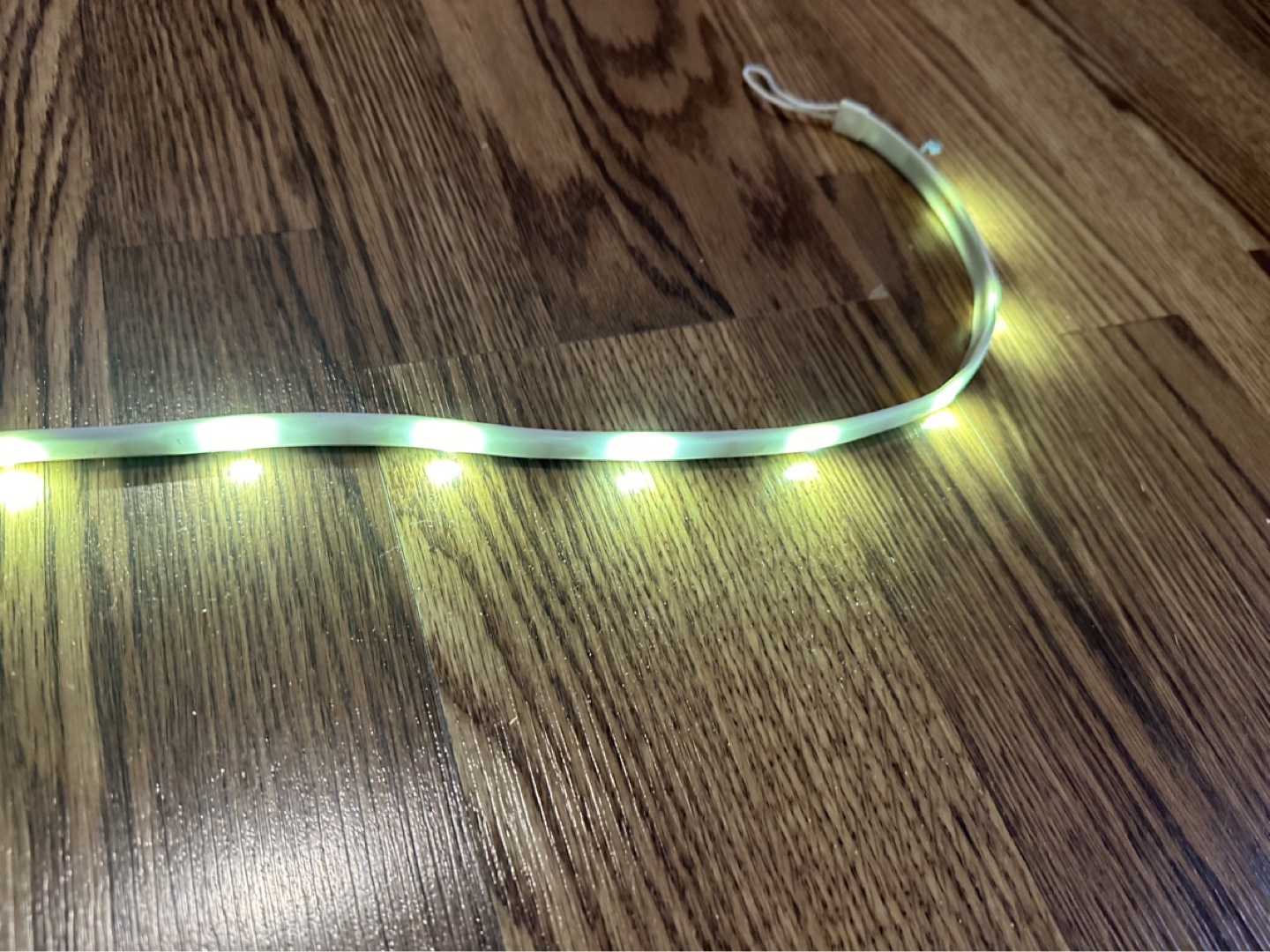 Luminoodle XL Plus - photo 2