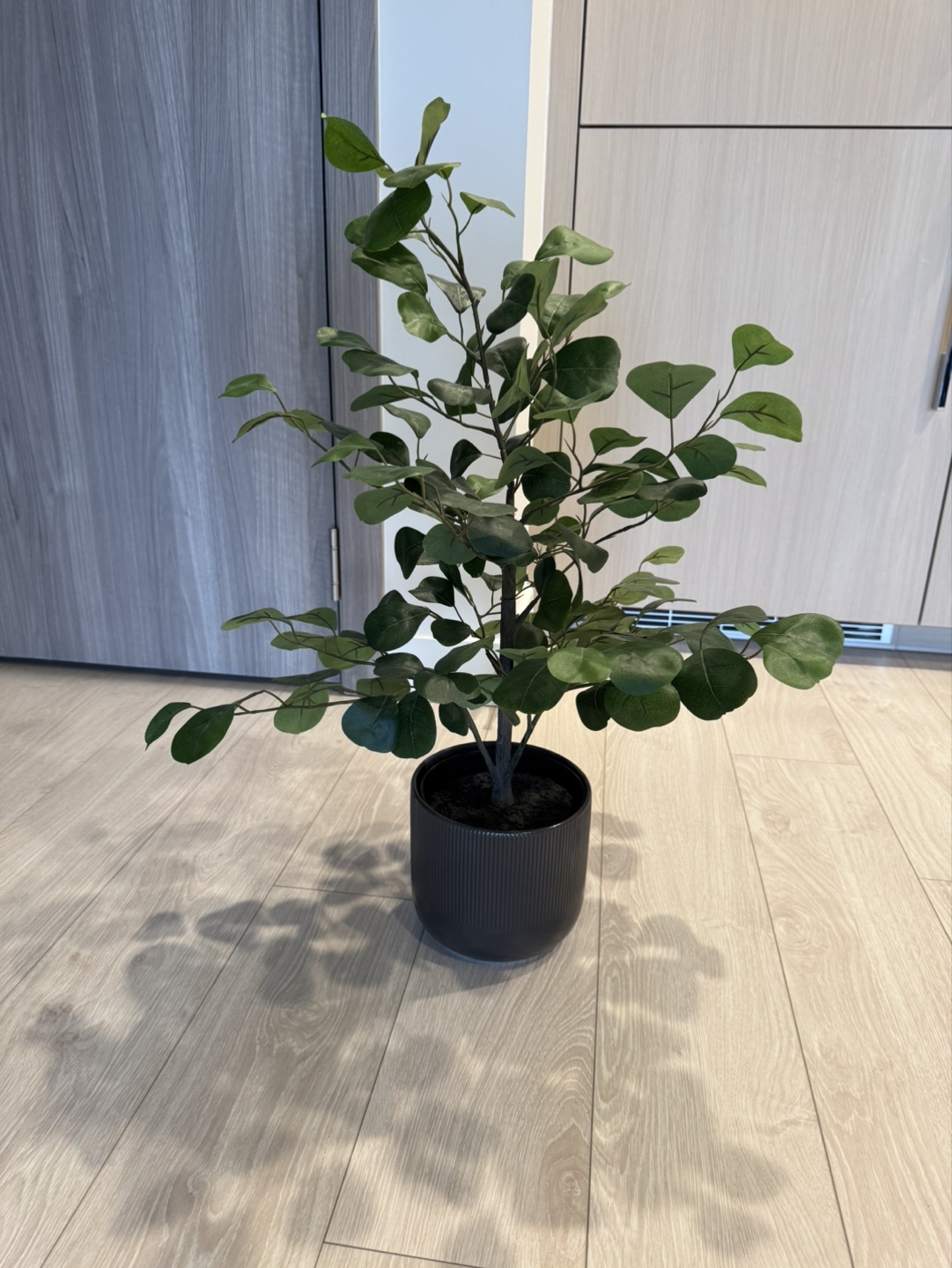 Artificial Ficus Tree in Black Pot