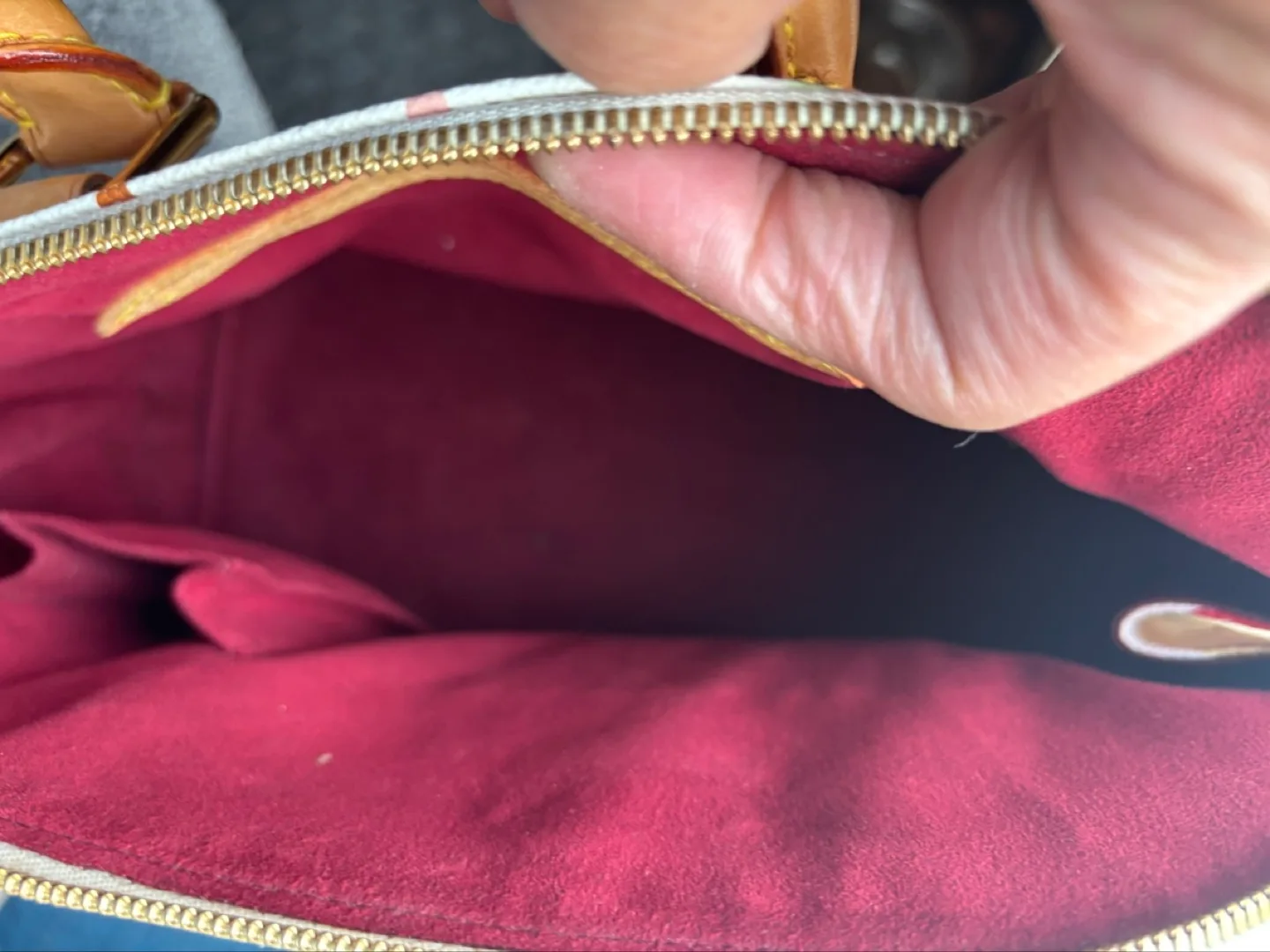 Louis Vuitton Multicolore Speedy 25 image indicator(4)