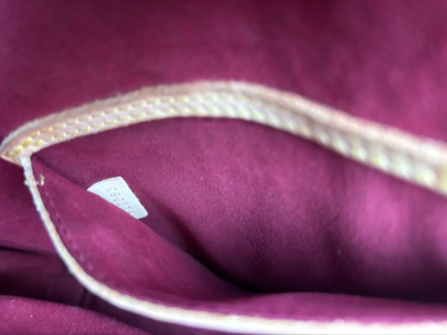 Louis Vuitton Multicolore Speedy 25 image indicator(3)