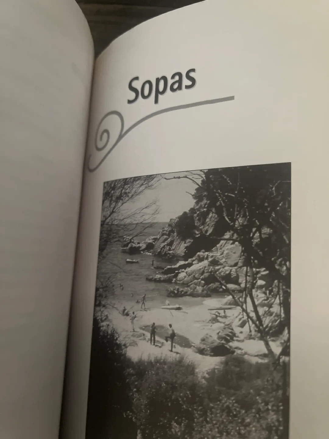 💚 Vintage Spanish Cookbook by Joan Coll image indicator(7)