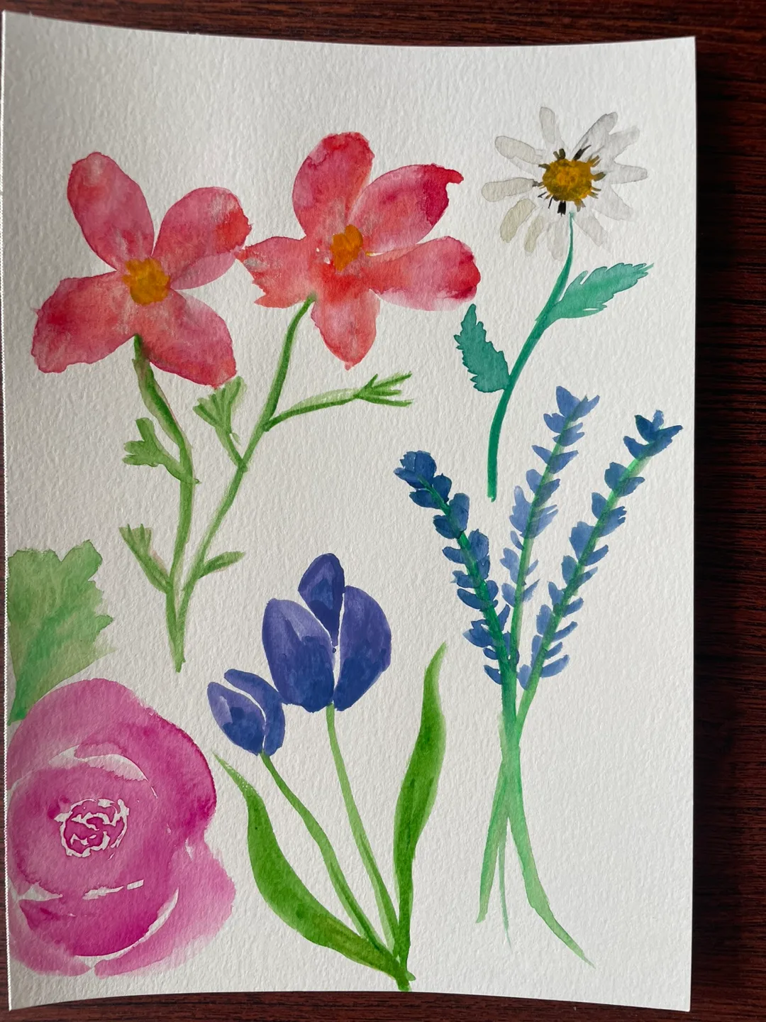 Original Watercolours + Acrylic Paintings image indicator(5)