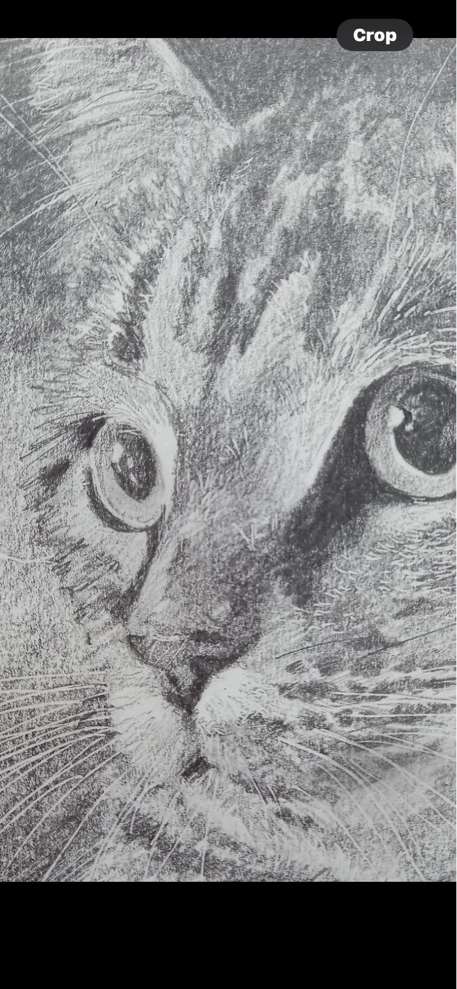 Art classes in the Westend image indicator(2)