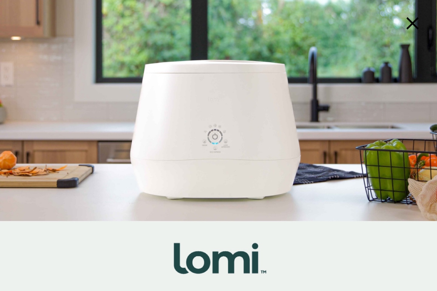 Lomi Food Composter