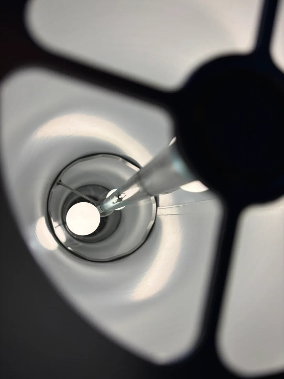 Tall Cylinder Ambient Floor Lamp image indicator(9)