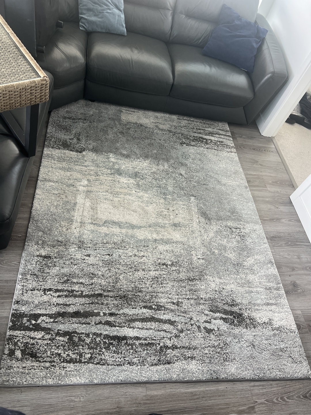 BREEZE Area Rug from Home Sense