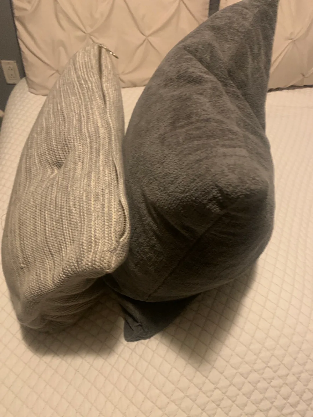 Two Decorative Throw Pillows image indicator(3)