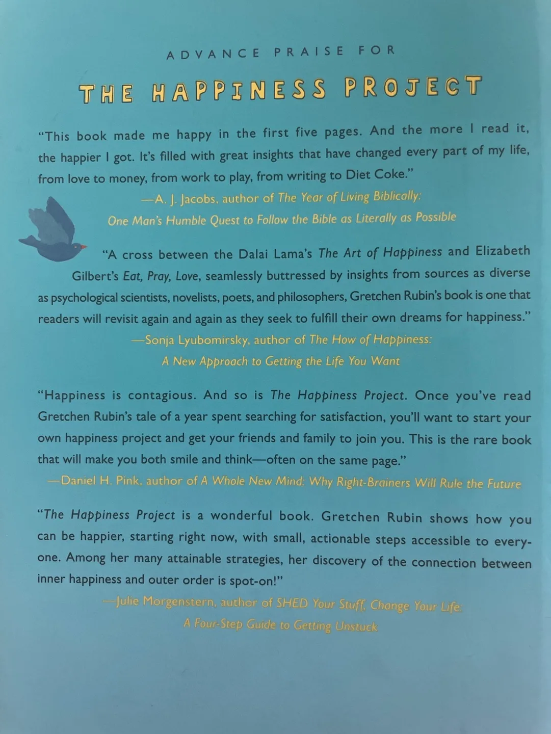 The Happiness Project by Gretchen Rubin image indicator(2)