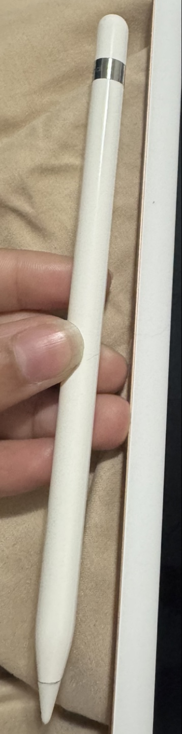 iPad with Apple Pencil - photo 4