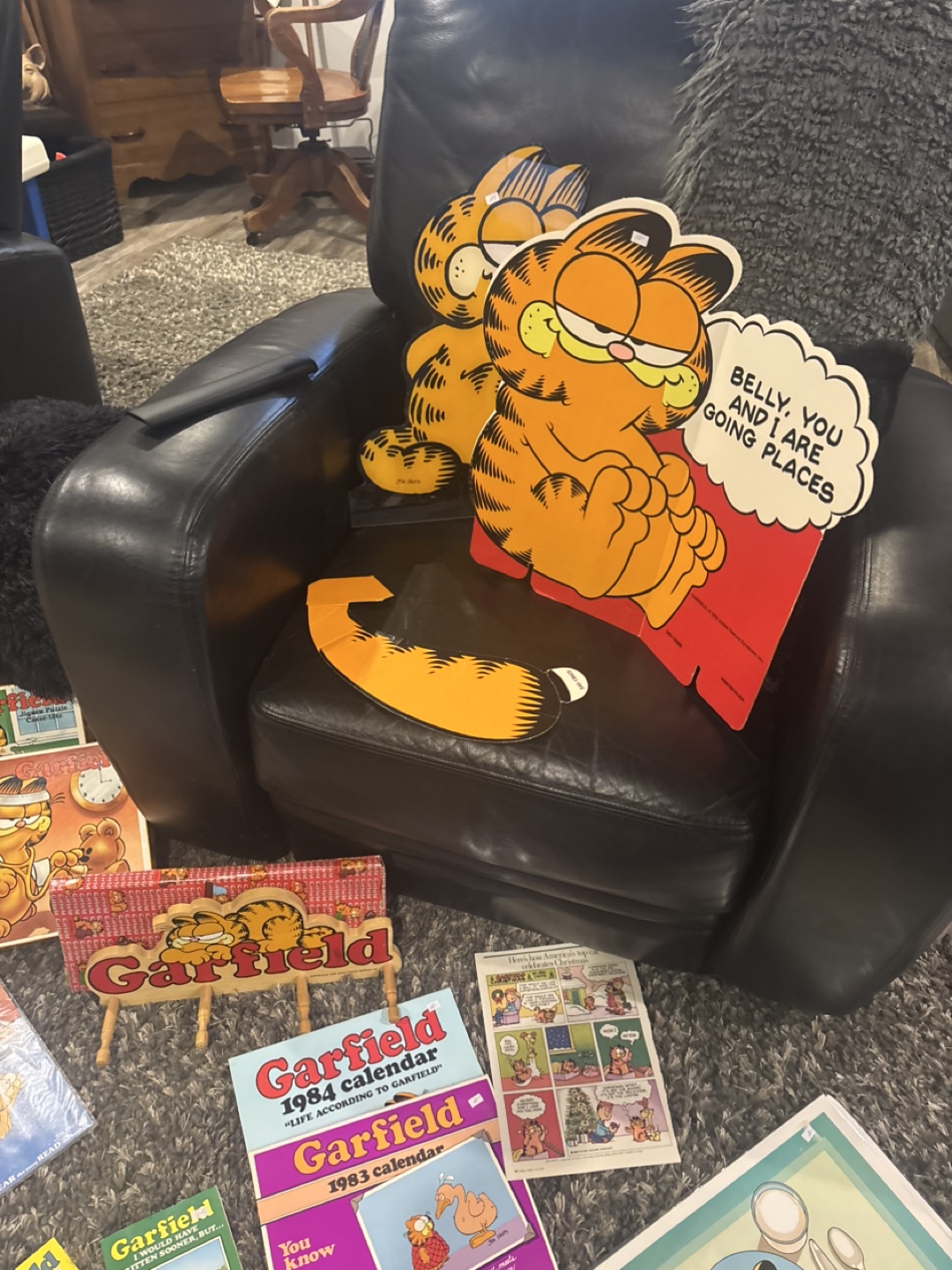 Huge Garfield Collection - Books, Toys, and More!