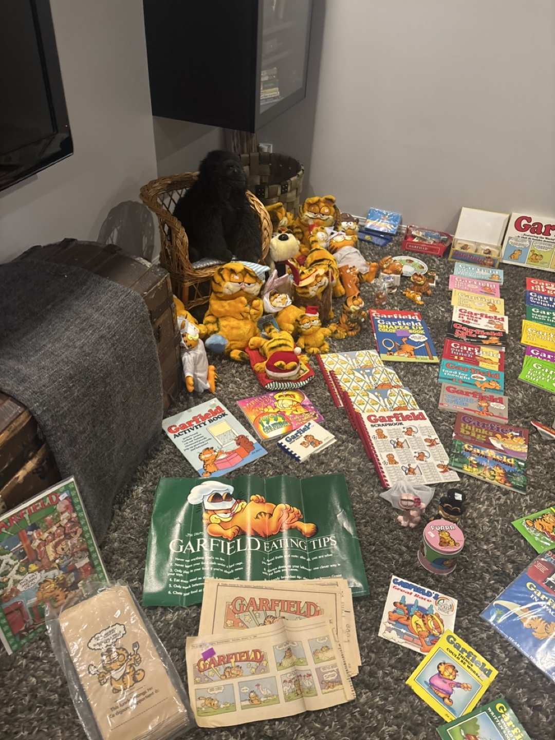 Huge Garfield Collection - Books, Toys, and More! - photo 3