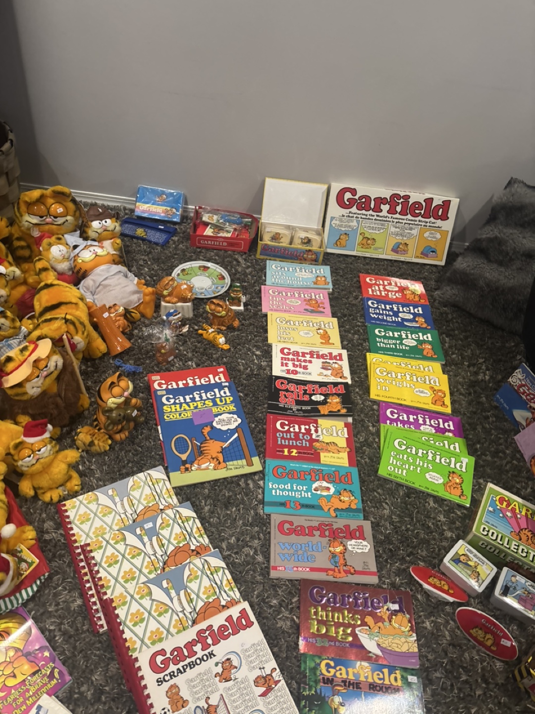 Huge Garfield Collection - Books, Toys, and More! - photo 4