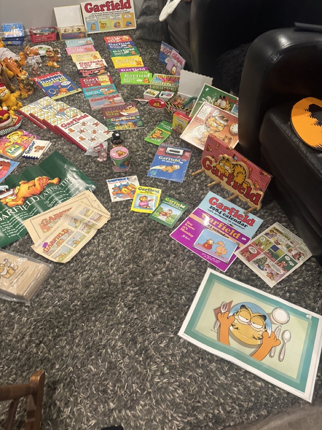 Huge Garfield Collection - Books, Toys, and More! - photo 2