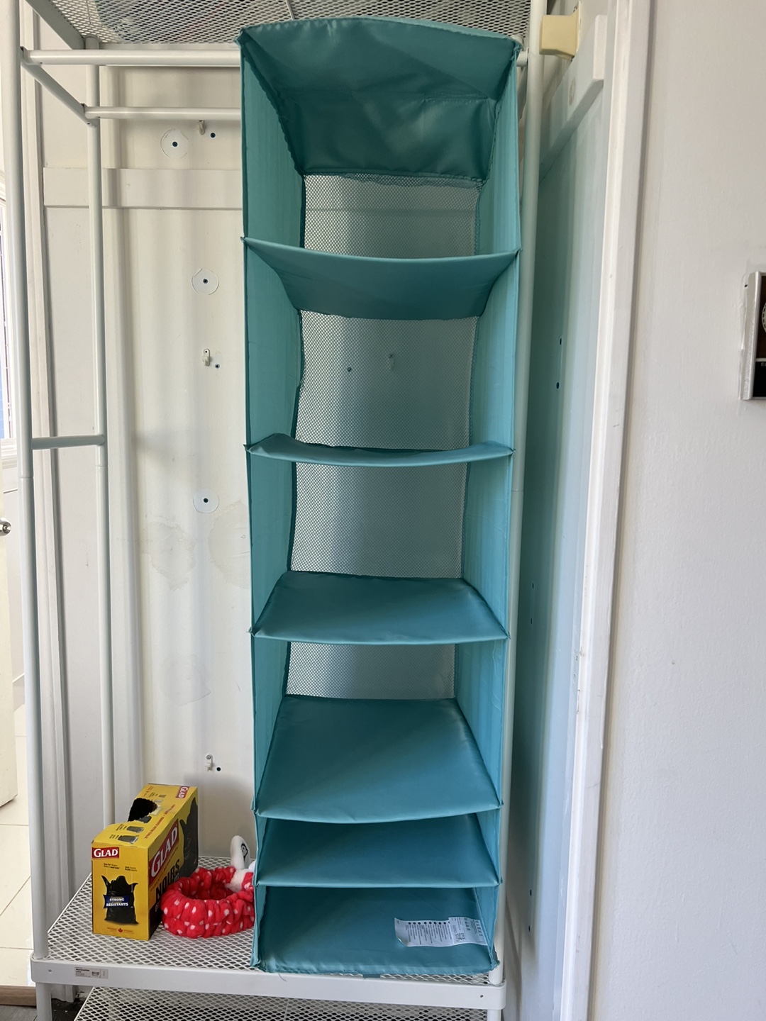 Teal Fabric Hanging Closet Organizer