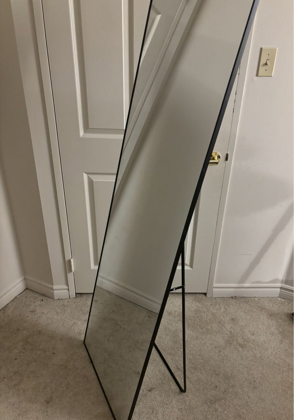 Full-Length Freestanding Mirror with Black Frame