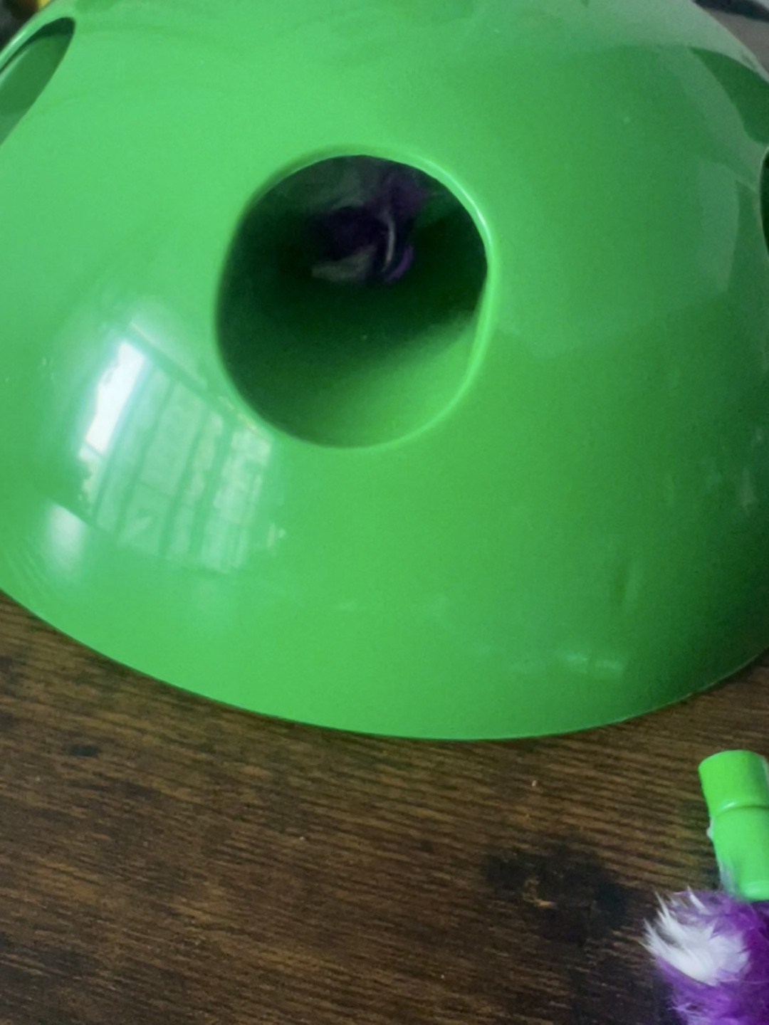 Pop N'Play Interactive Cat Toy - photo 2