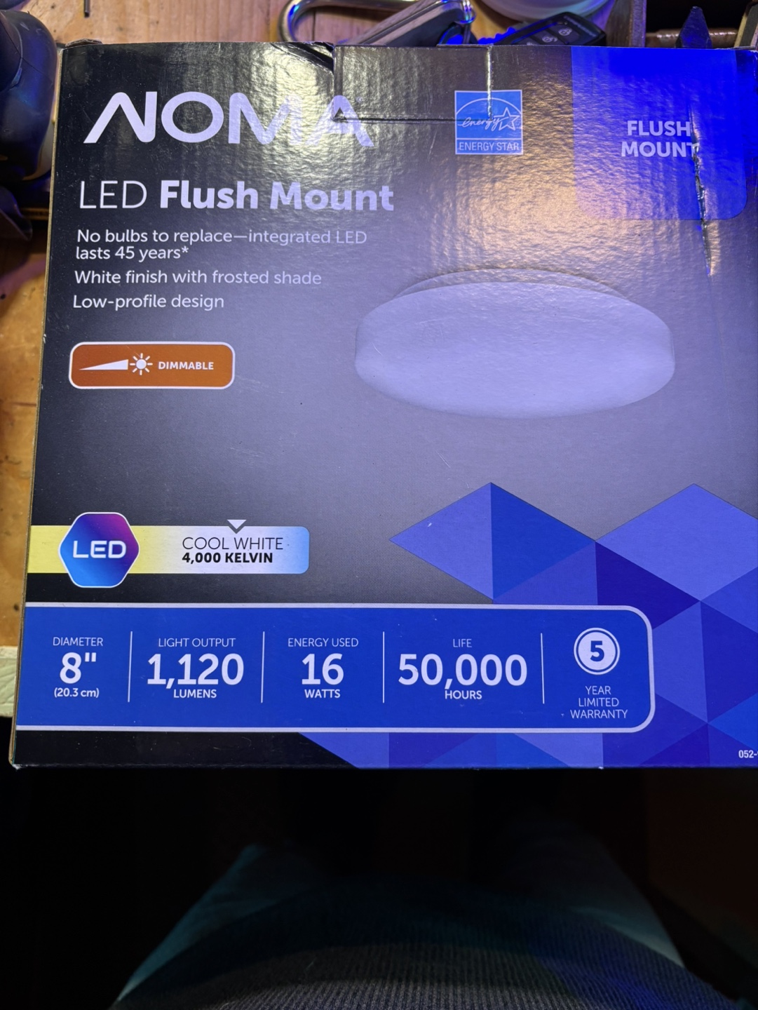 NOMA 8" LED Flush Mount Light Fixture