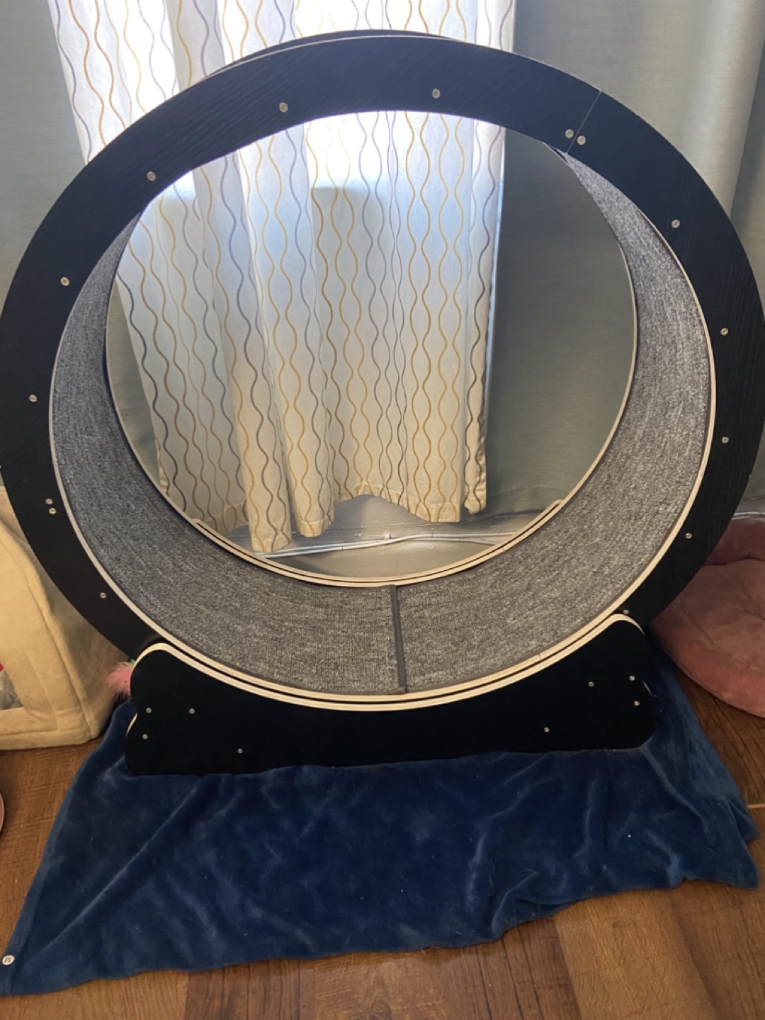 Large Cat Wheel - 40 inch diameter - photo 2