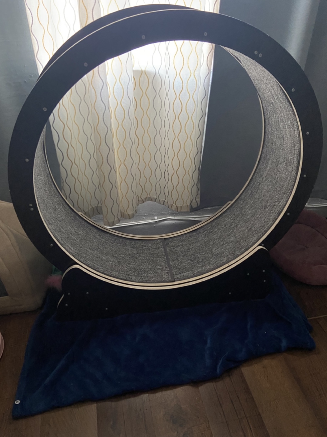 Large Cat Wheel - 40 inch diameter