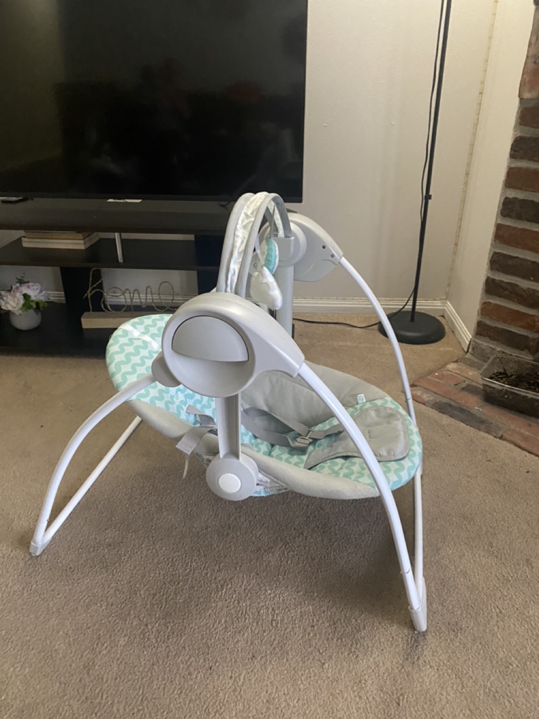 Baby Swing - Gently Used
