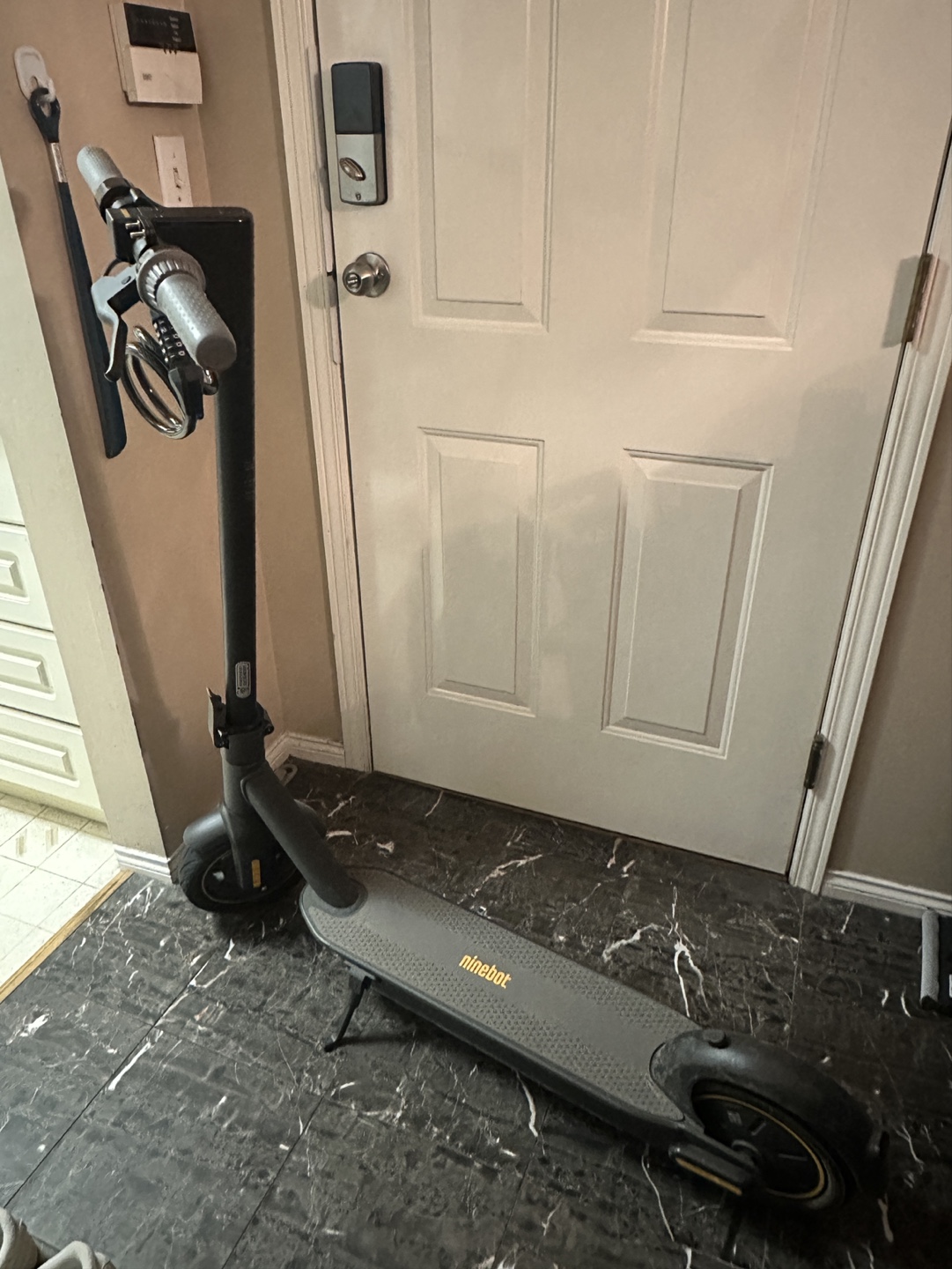 Segway Ninebot G30P Max Electric Scooter