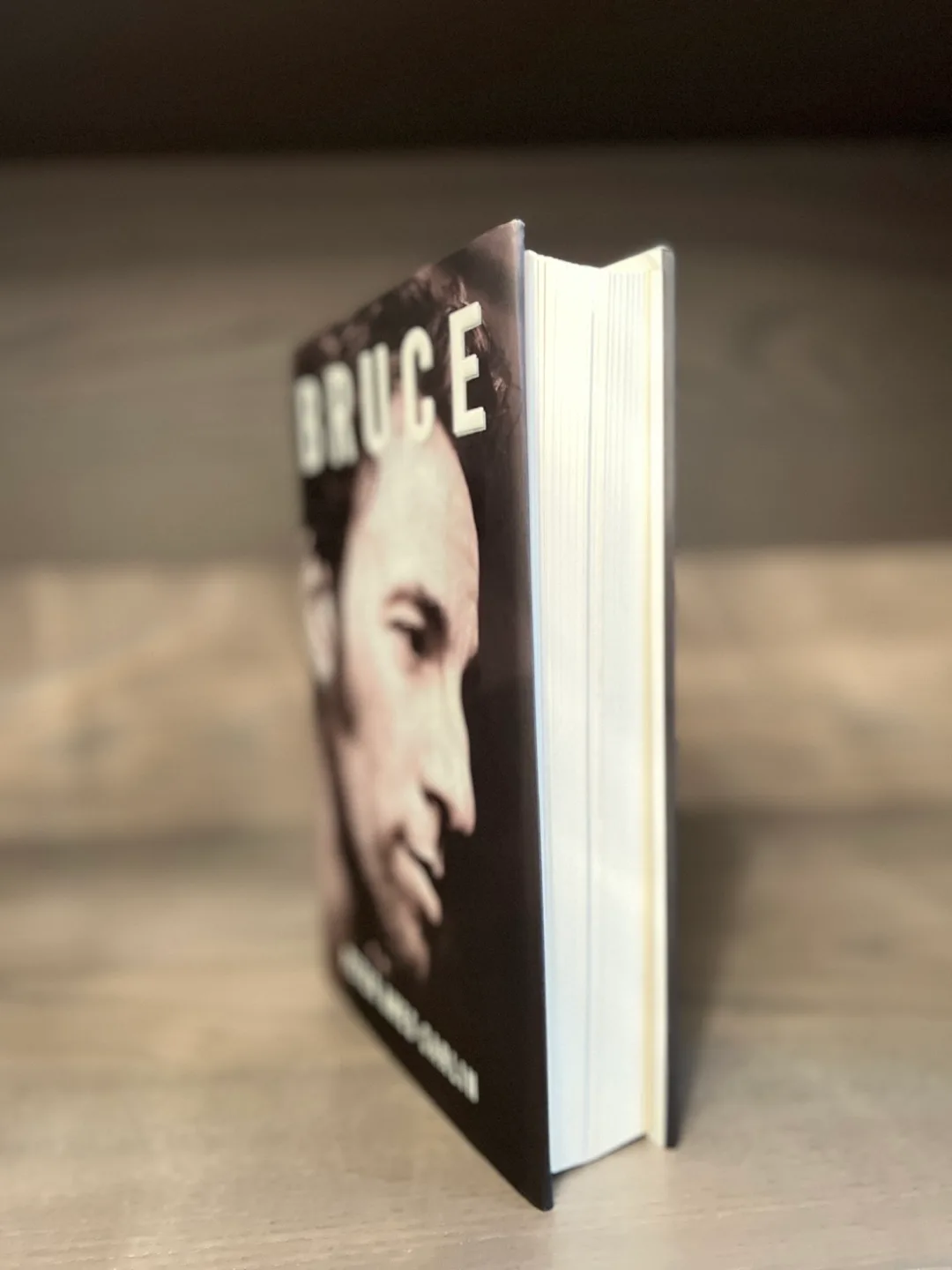 Bruce: Springsteen's Biography by Peter Ames Carlin image indicator(5)
