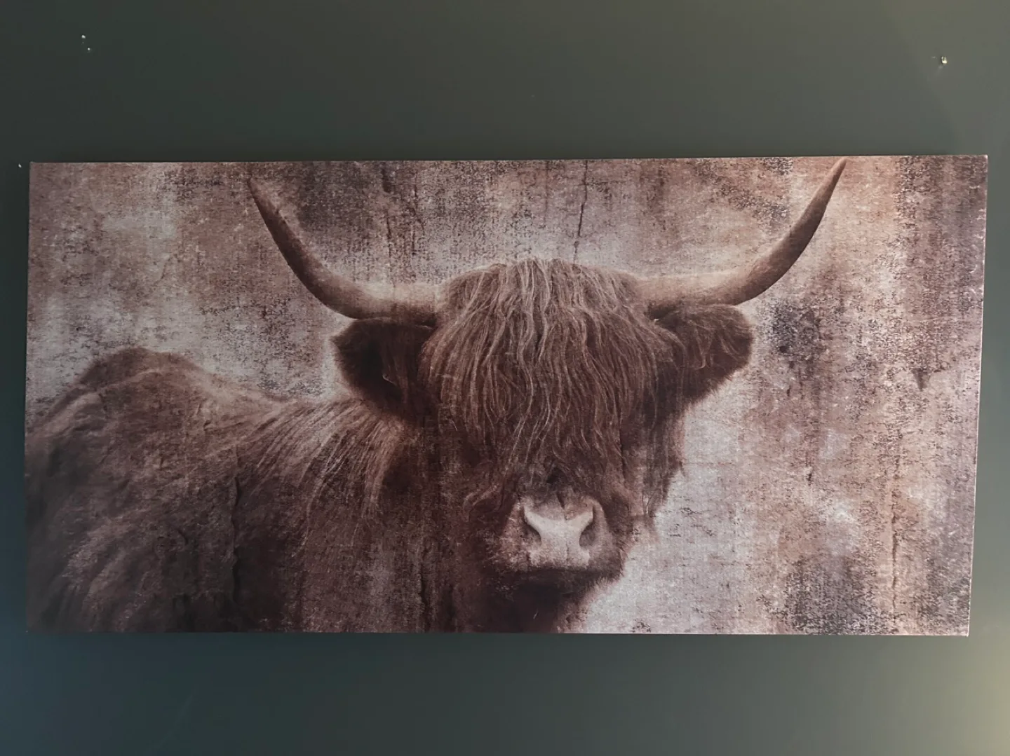 Highland Cow Canvas Wall Art thumbnail
