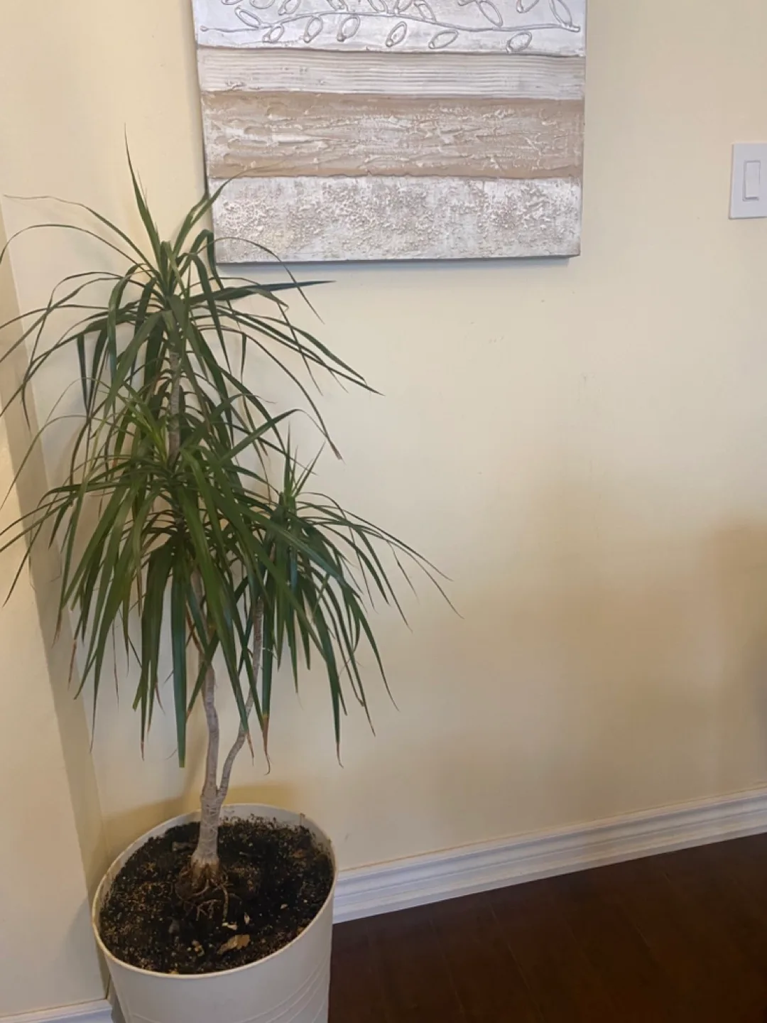 1.Textured Neutral Wall Art + 2.Large Plant image indicator(2)