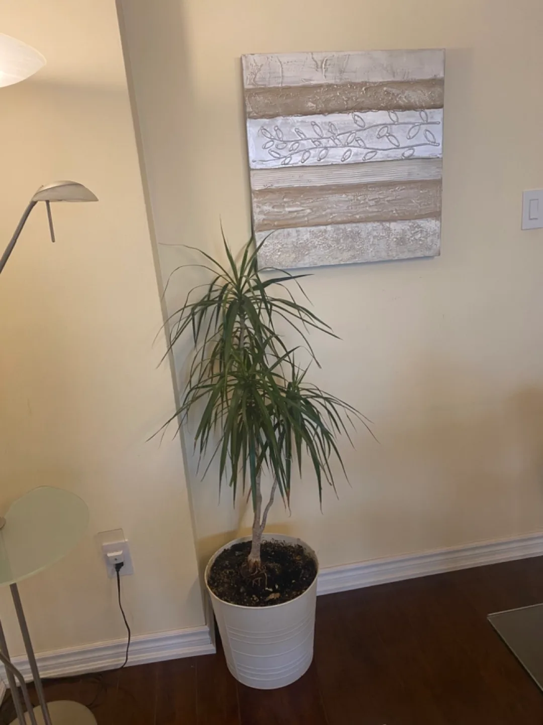 1.Textured Neutral Wall Art + 2.Large Plant image indicator(5)