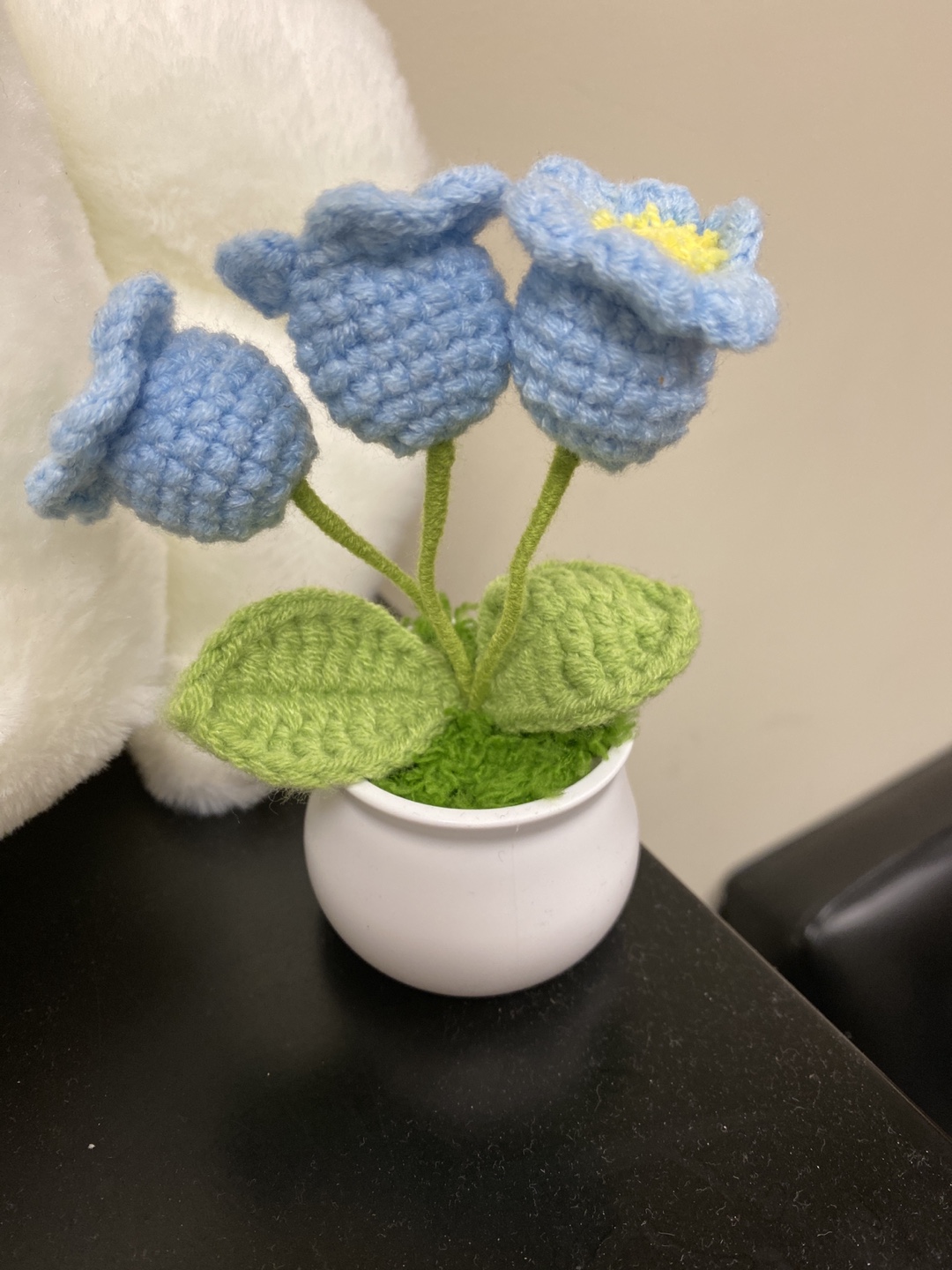 Handmade Crochet Flower Pot 💚