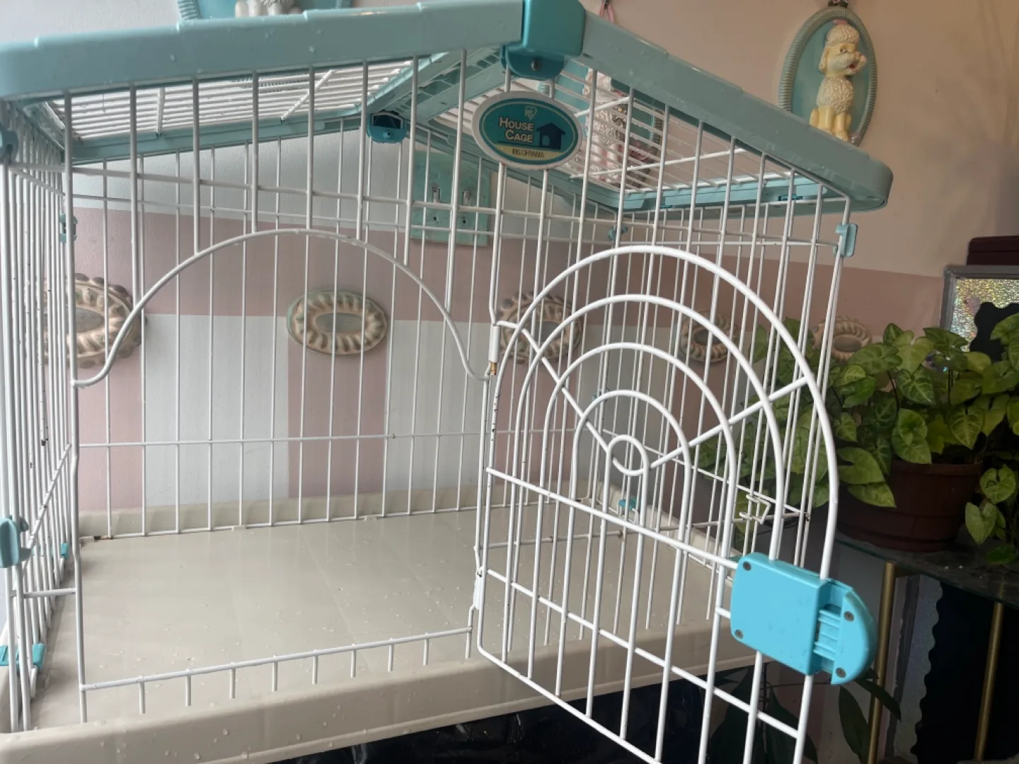 ADORABLE sm dog crate image indicator(4)