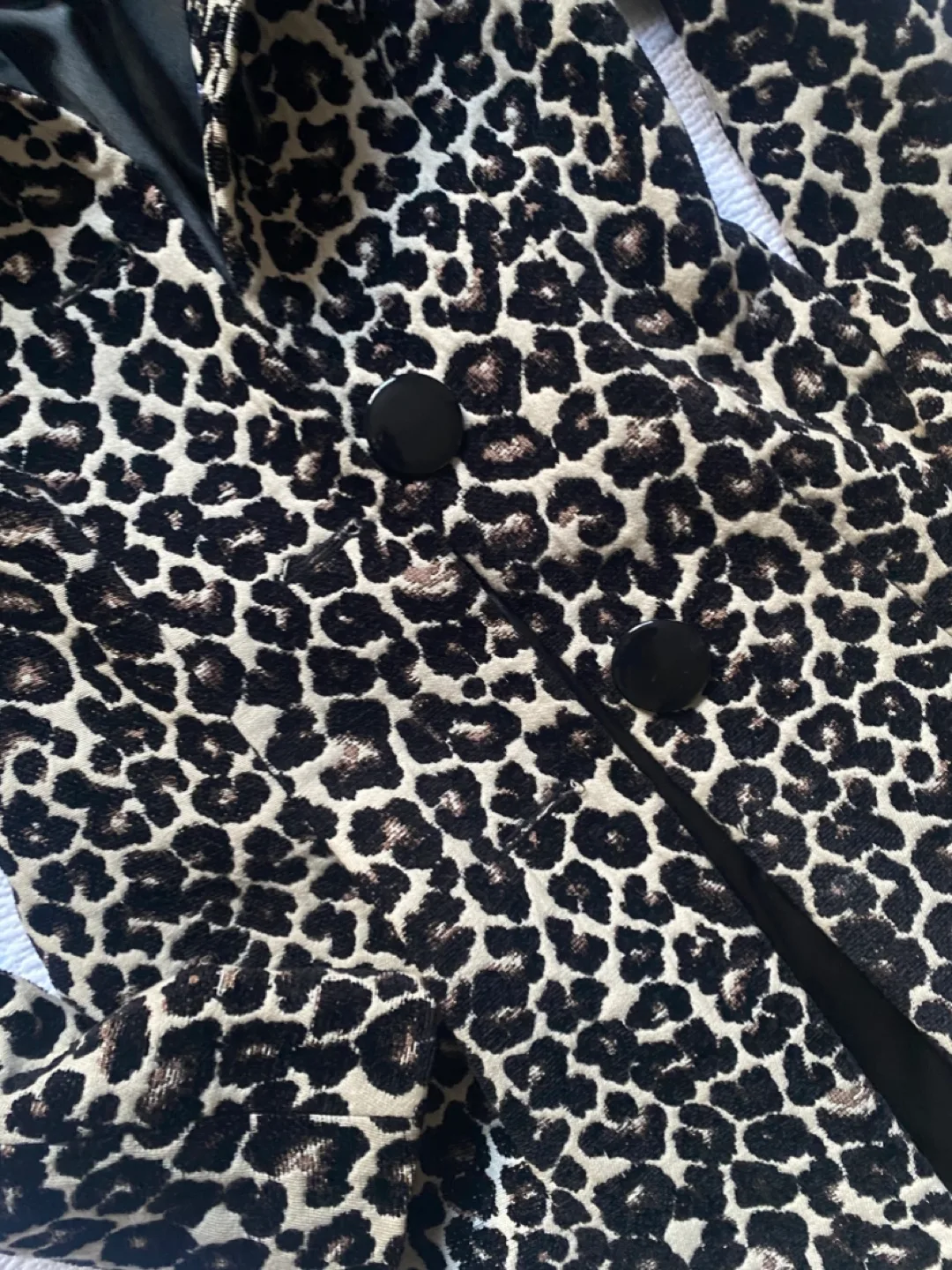 Le Chateau Leopard Print Coat image indicator(4)