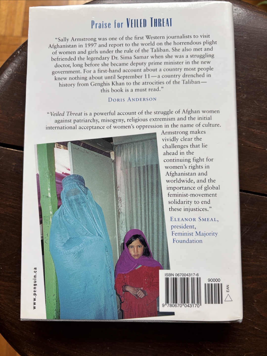 Veiled Threat: The hidden power …by Sally Armstrong - photo 3