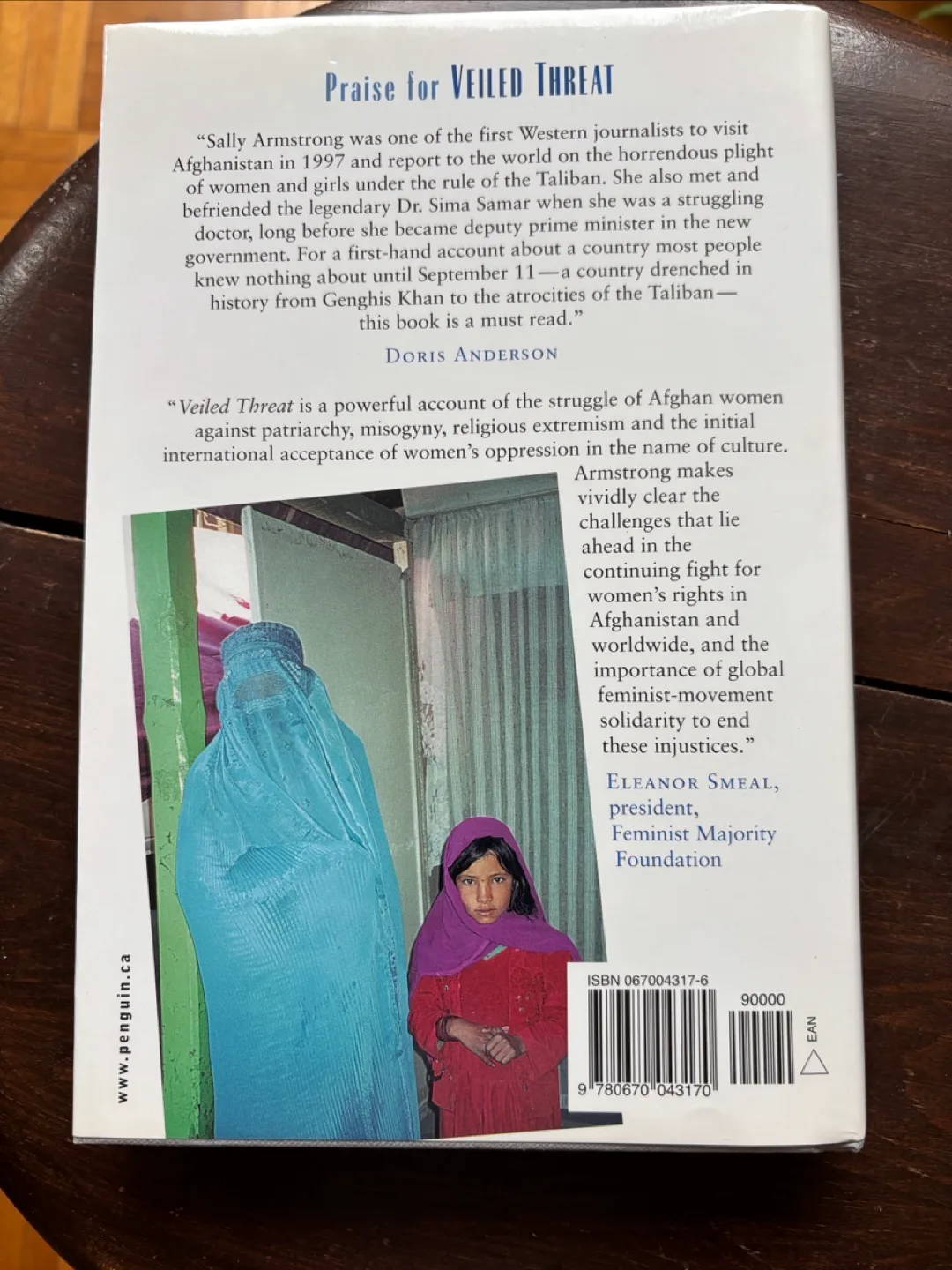 Veiled Threat: The hidden power …by Sally Armstrong image indicator(3)