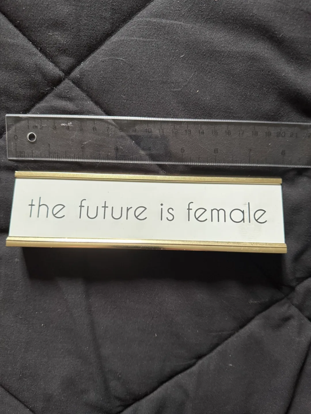 Office Envy Retro Desk Sign - The Future is Female image indicator(2)