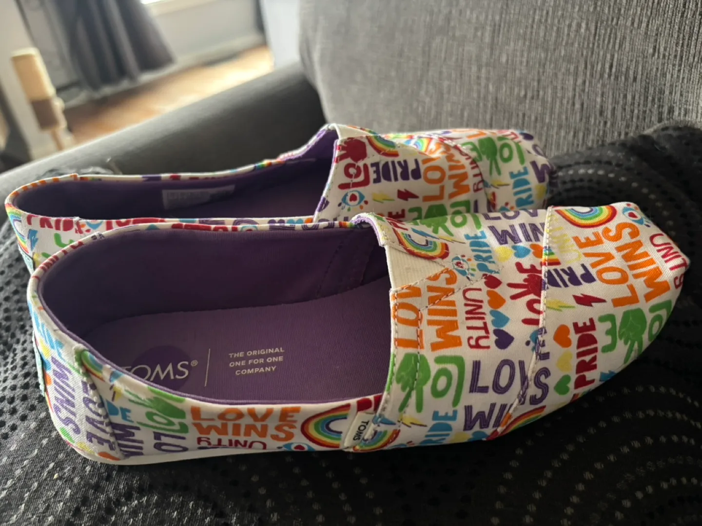 TOMS Pride Rainbow Slip-On Shoes image indicator(3)