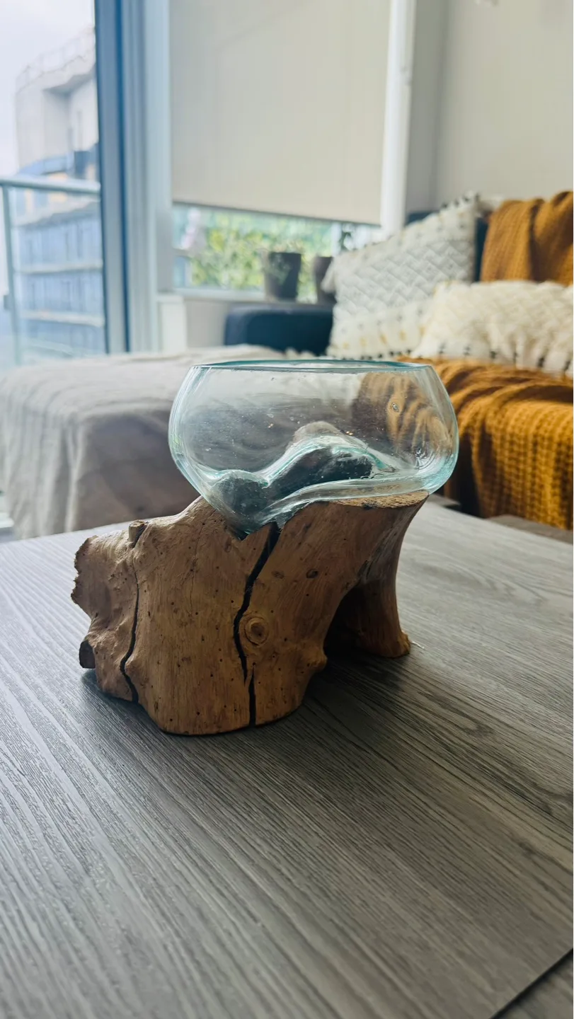 Glass terrarium on wooden stand💚 thumbnail