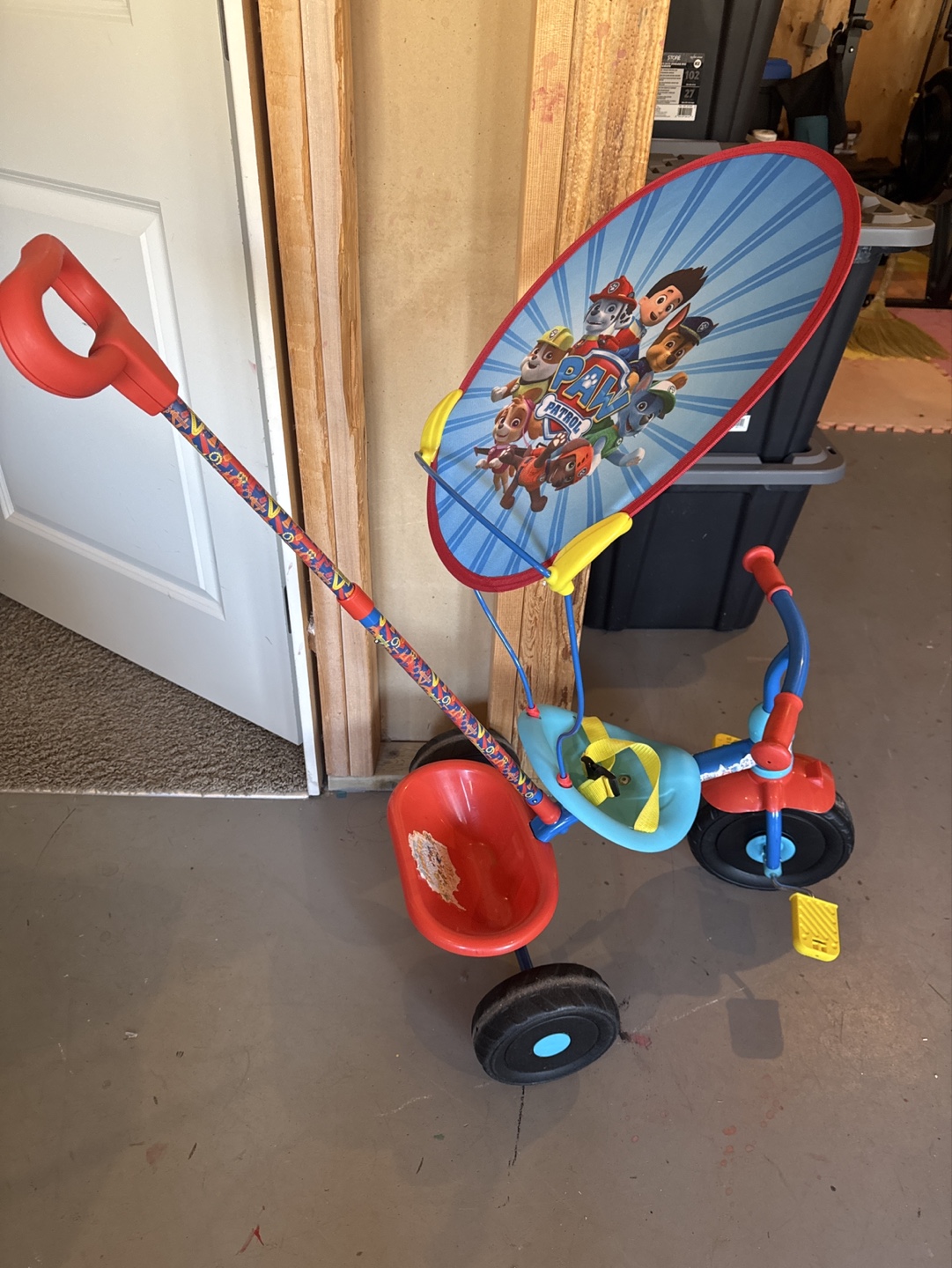 Paw Patrol Tricycle with Canopy