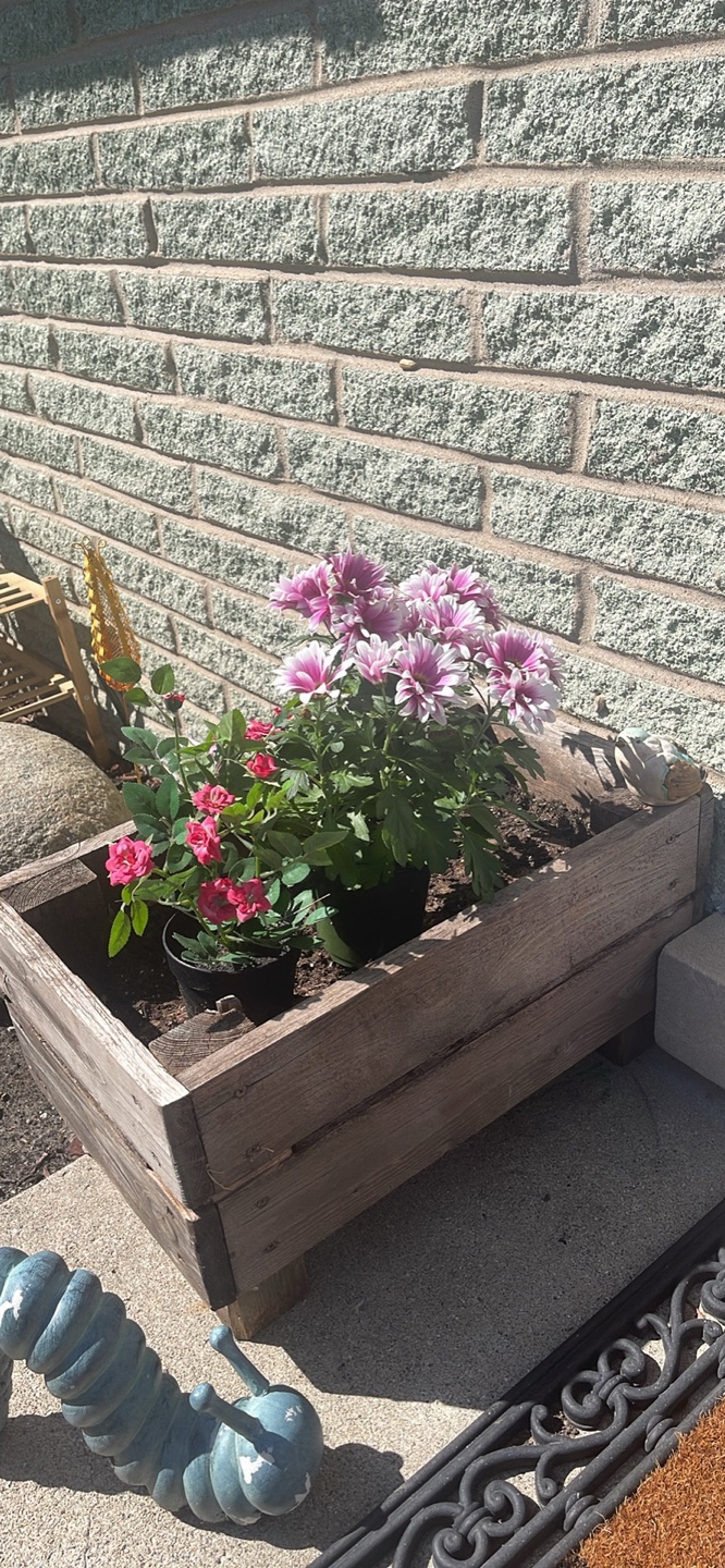 Wooden Planter Box ( flower not included)