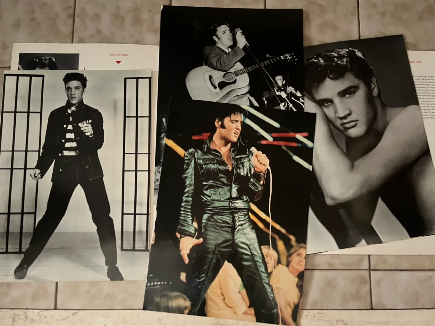 Elvis Presley Classic Poster Book image indicator(3)